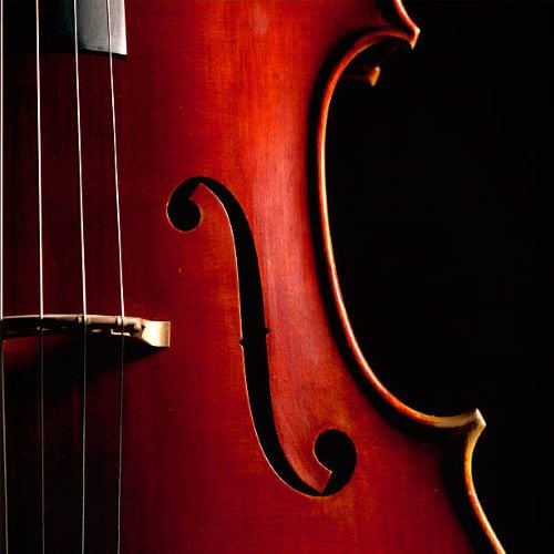 Marin Symphony Concert 1