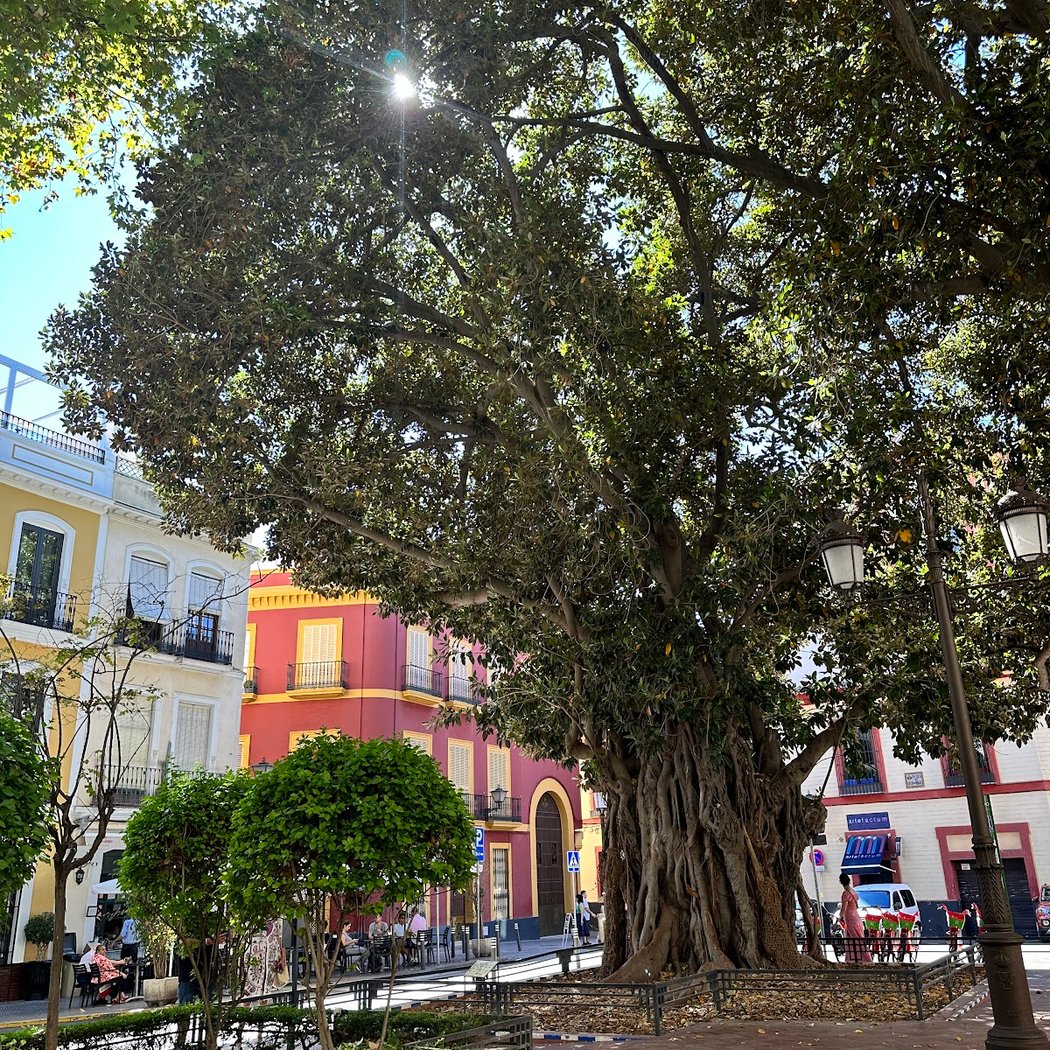 Plaza de la Alfalfa 1