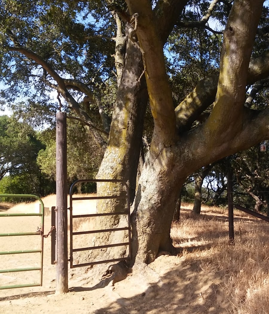 Sky Ranch | John Muir Land Trust 3