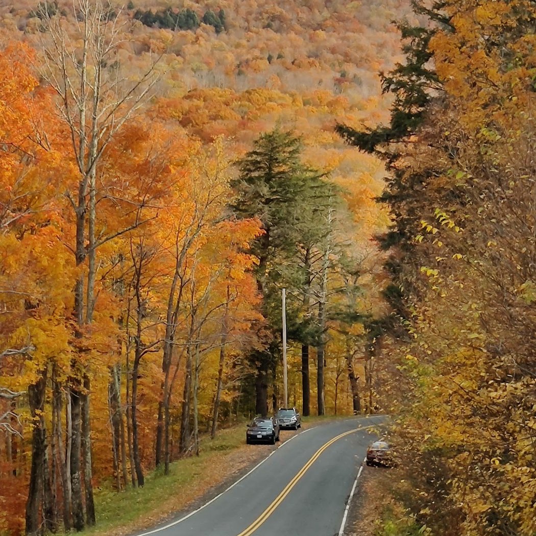 Catskill 1