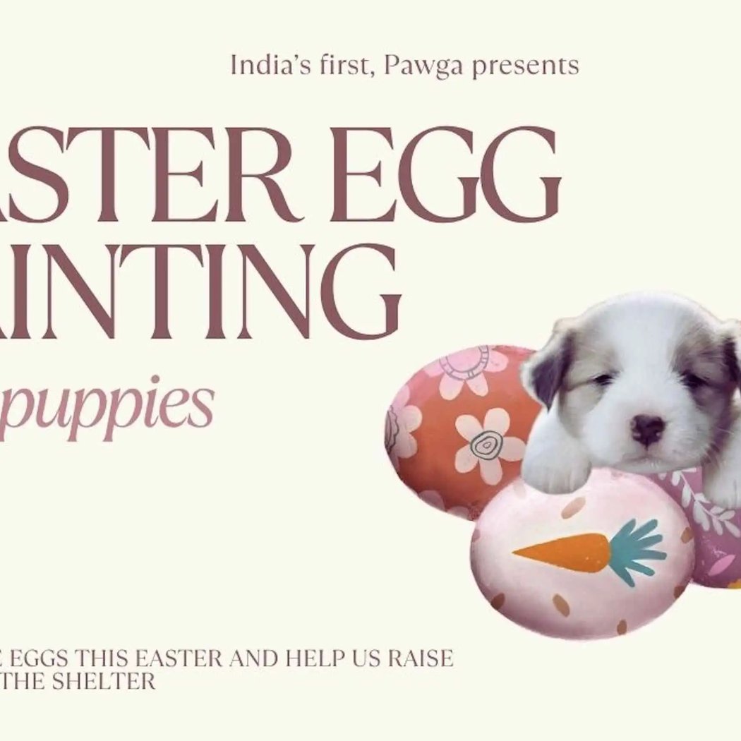 Easter Egg Painting with Puppies 1