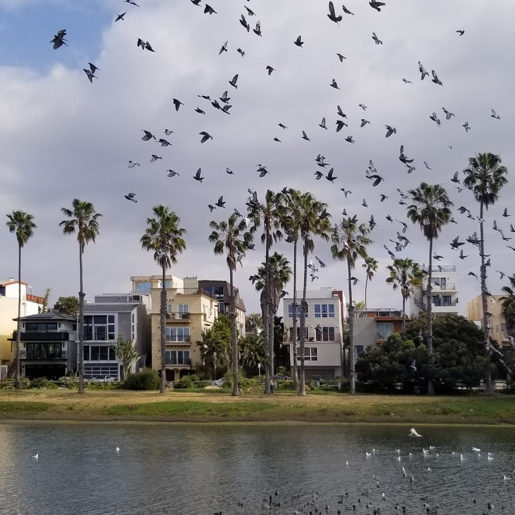 Playa Del Rey 2