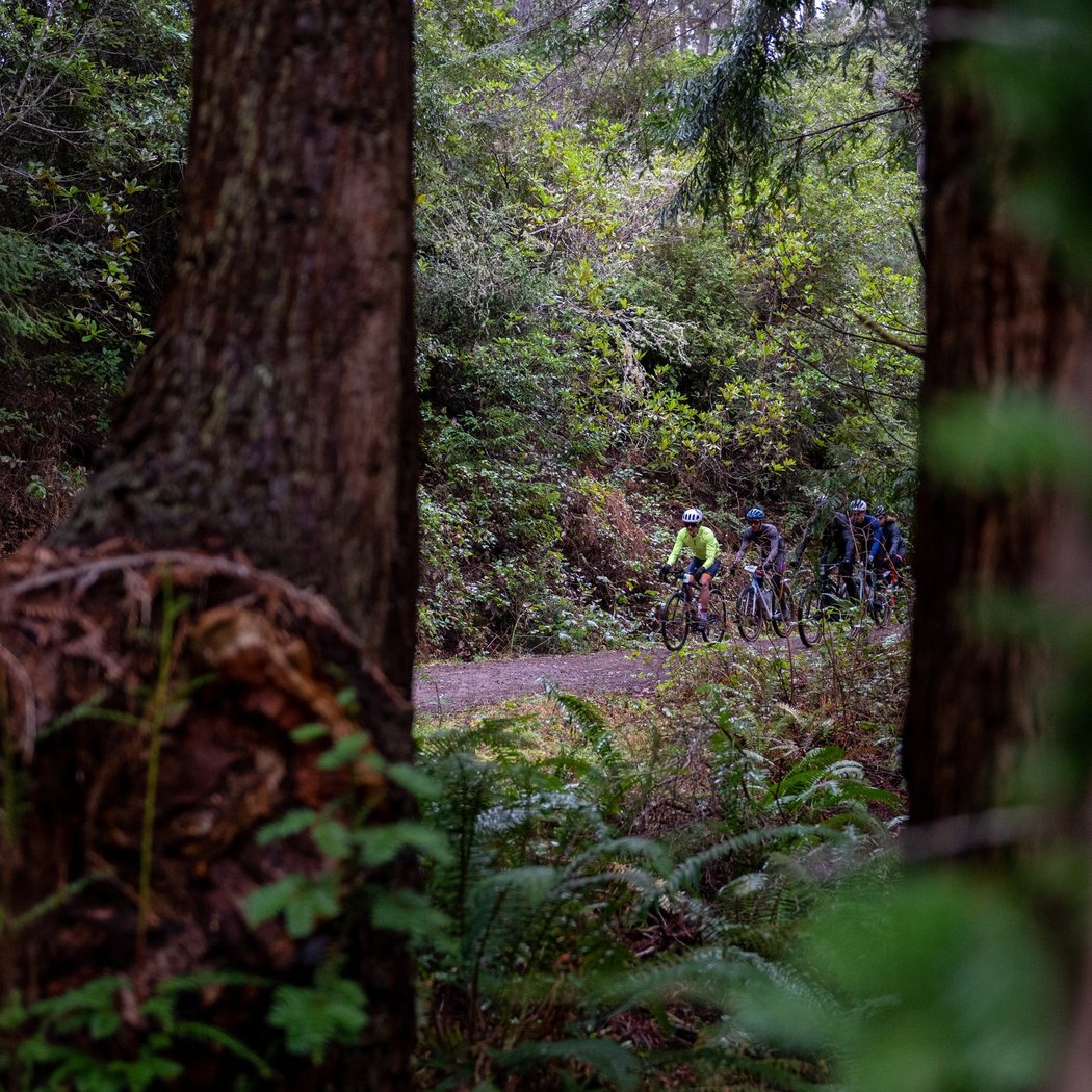 Jackson Forest Hopper 1