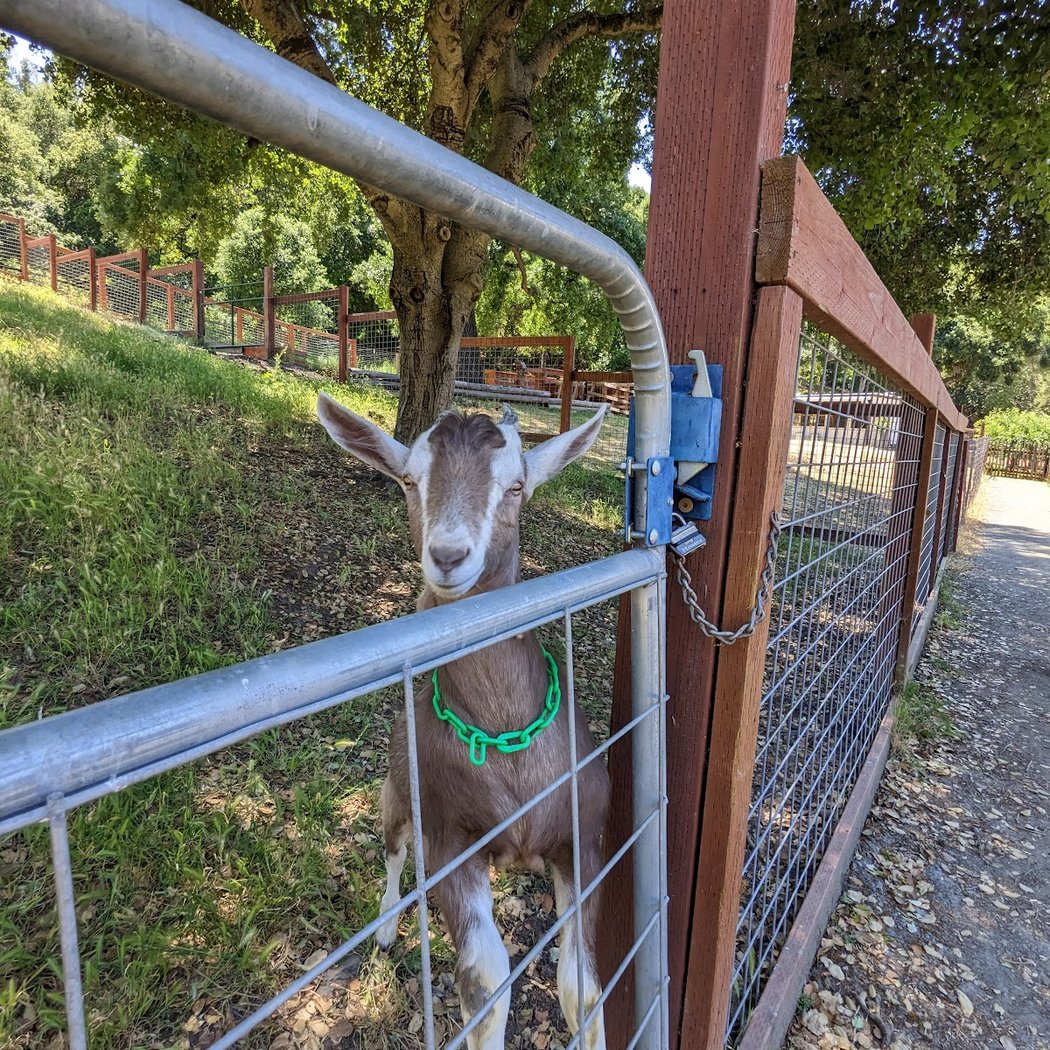 Deer Hollow Farm 1