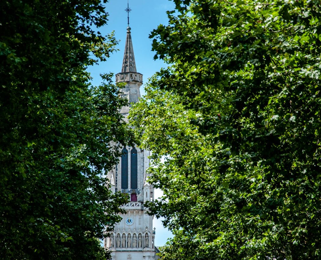 Cathédrale Saint-Pierre-et-Saint-Paul de Nantes 2