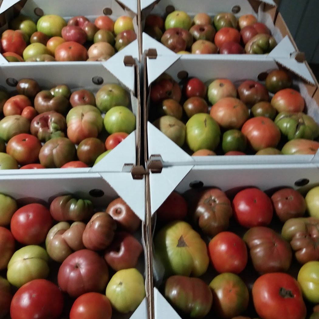 Hepworth Farms 1