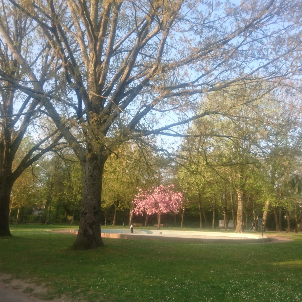Parc du Plessis Tison 3
