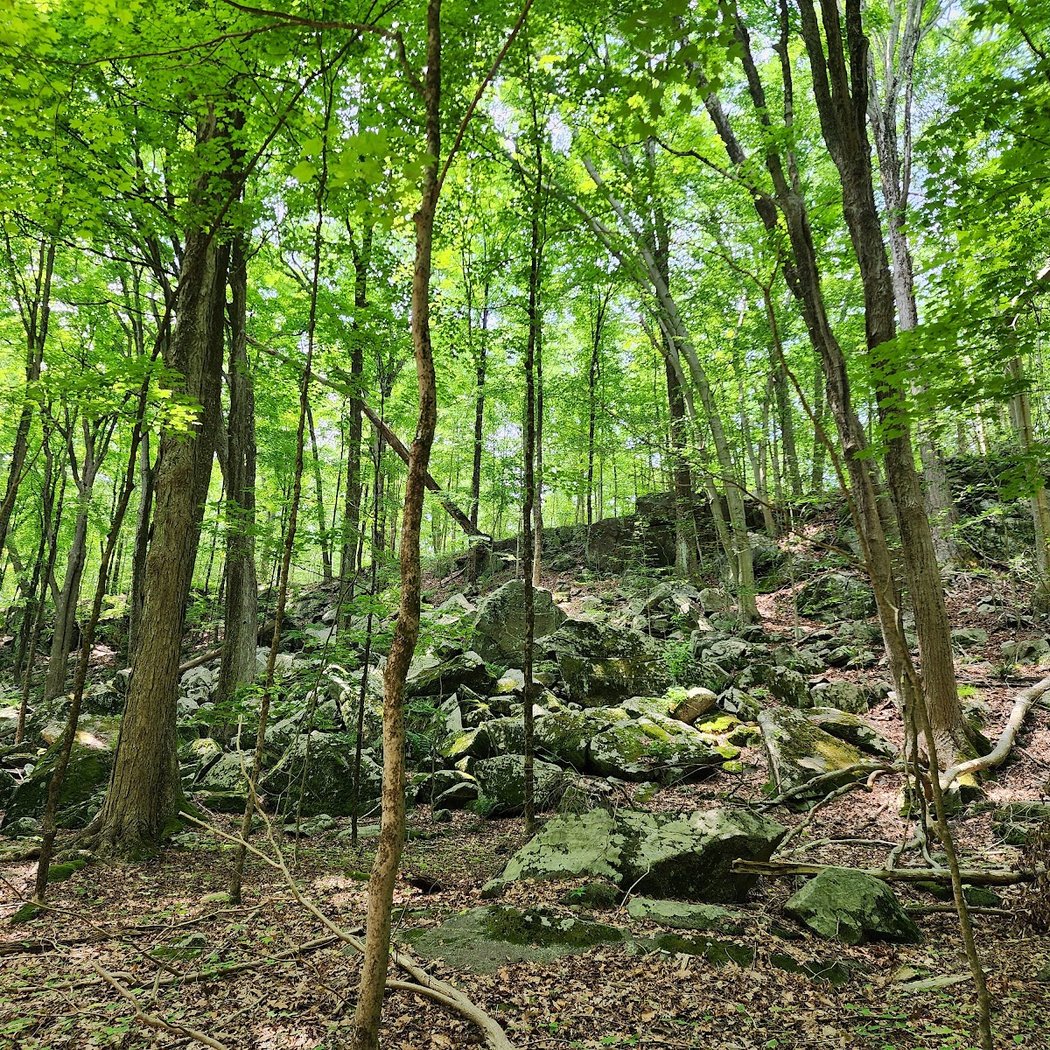 Mianus River Park 3