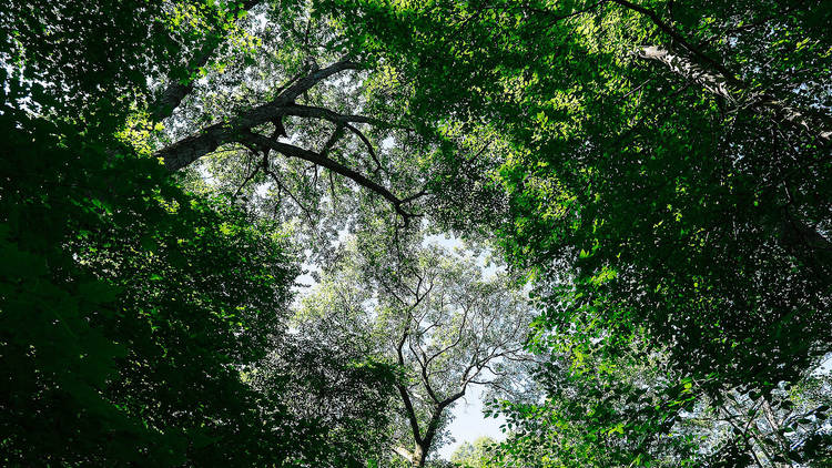 Mystery Point Rd 1