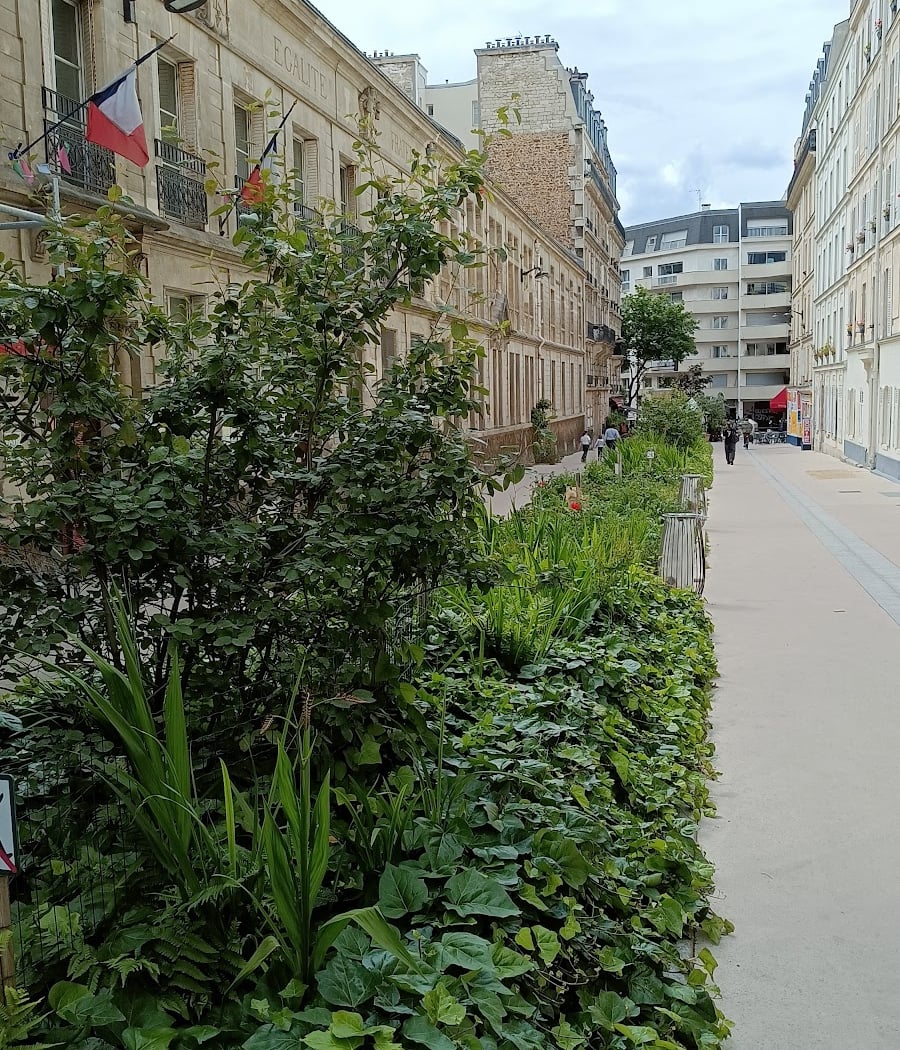 Rue piétonne et végétalisée 1