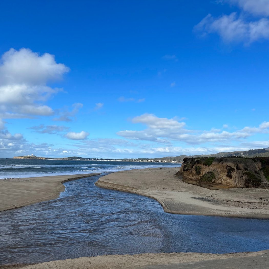 Monthly Beach Cleanups 2