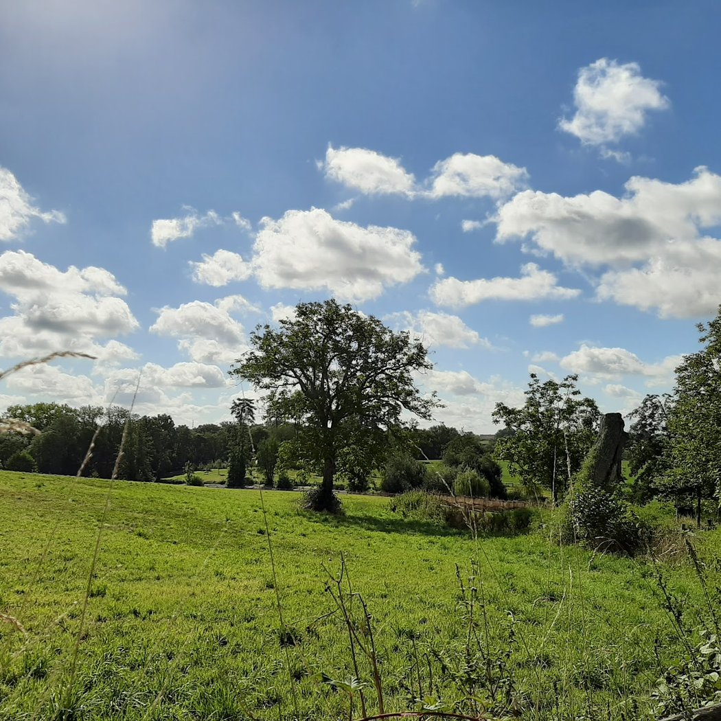 Picnic area of ​​Landreau 2