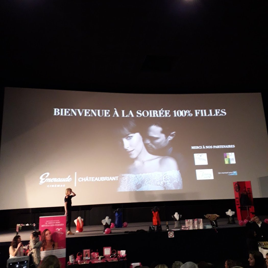 Cinéma à Châteaubriant : une semaine entre blockbusters et pépites intimistes 4