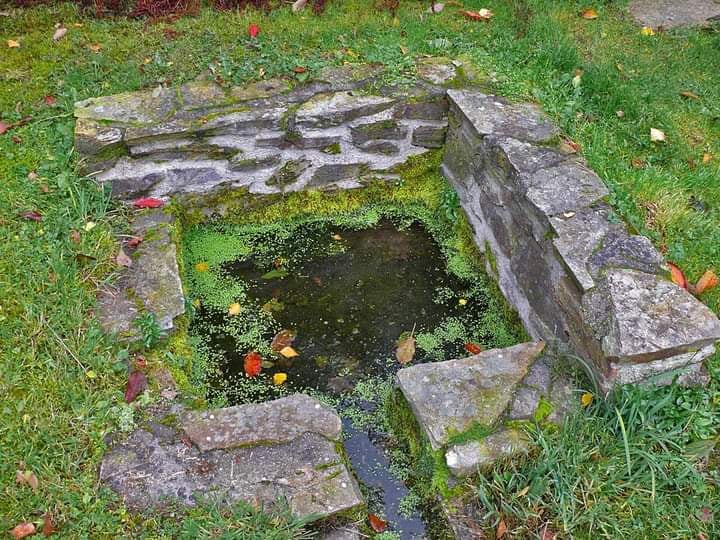 Source de l'Indre 3