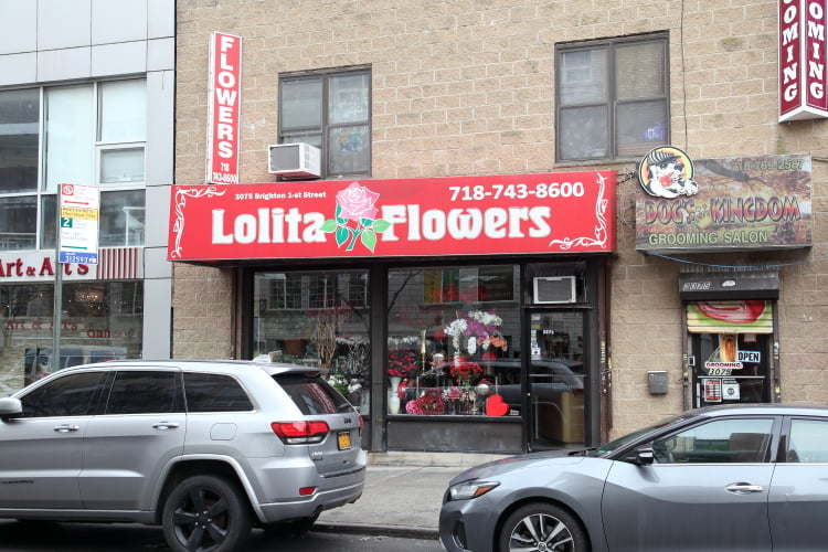 Lolita Flowers 2