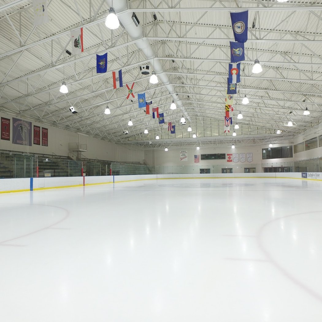 Showdown in Hockeytown Sled Hockey Showcase 2