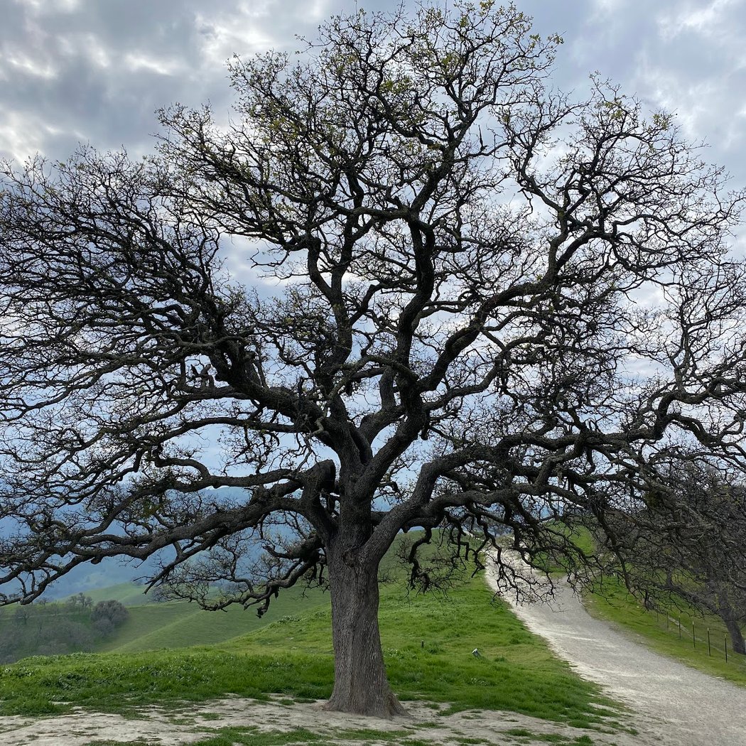 Del Valle Ridge Trail 3