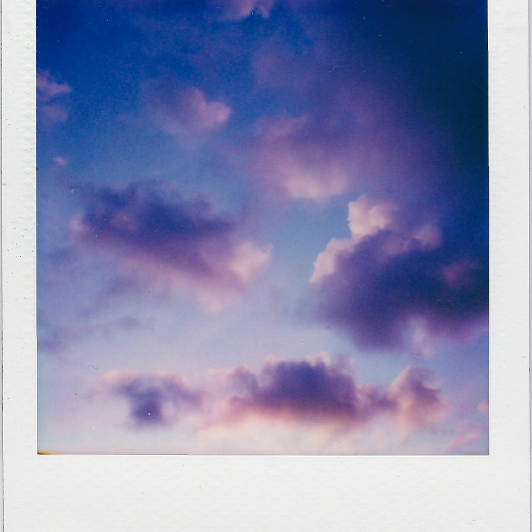 Summer Nights: Polaroid Transfer Printing with Jean Marques 2