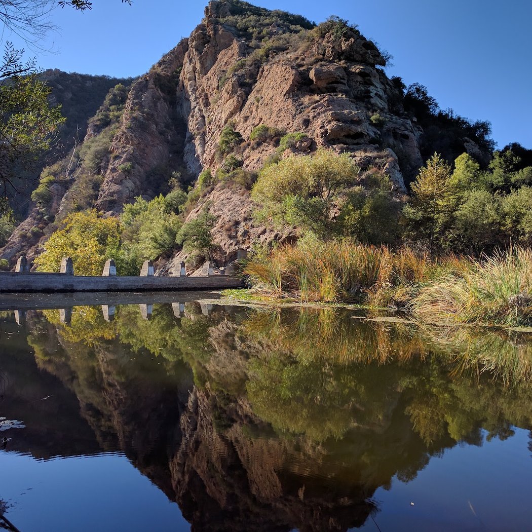 Malibu Creek State Park Night Hike: Hoots, Howls, and Night Sounds 4