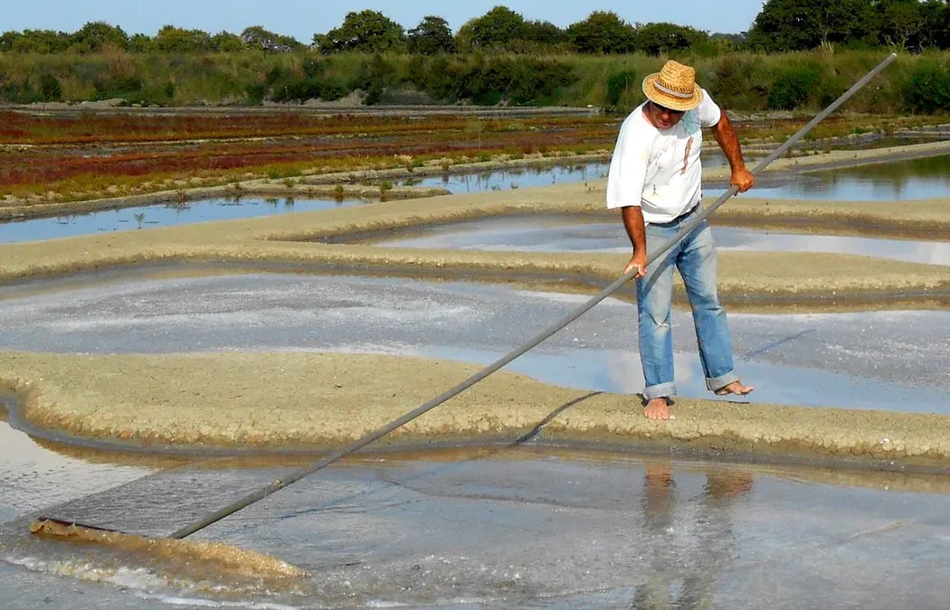 Visite de saline - Nicolas Arnould 1