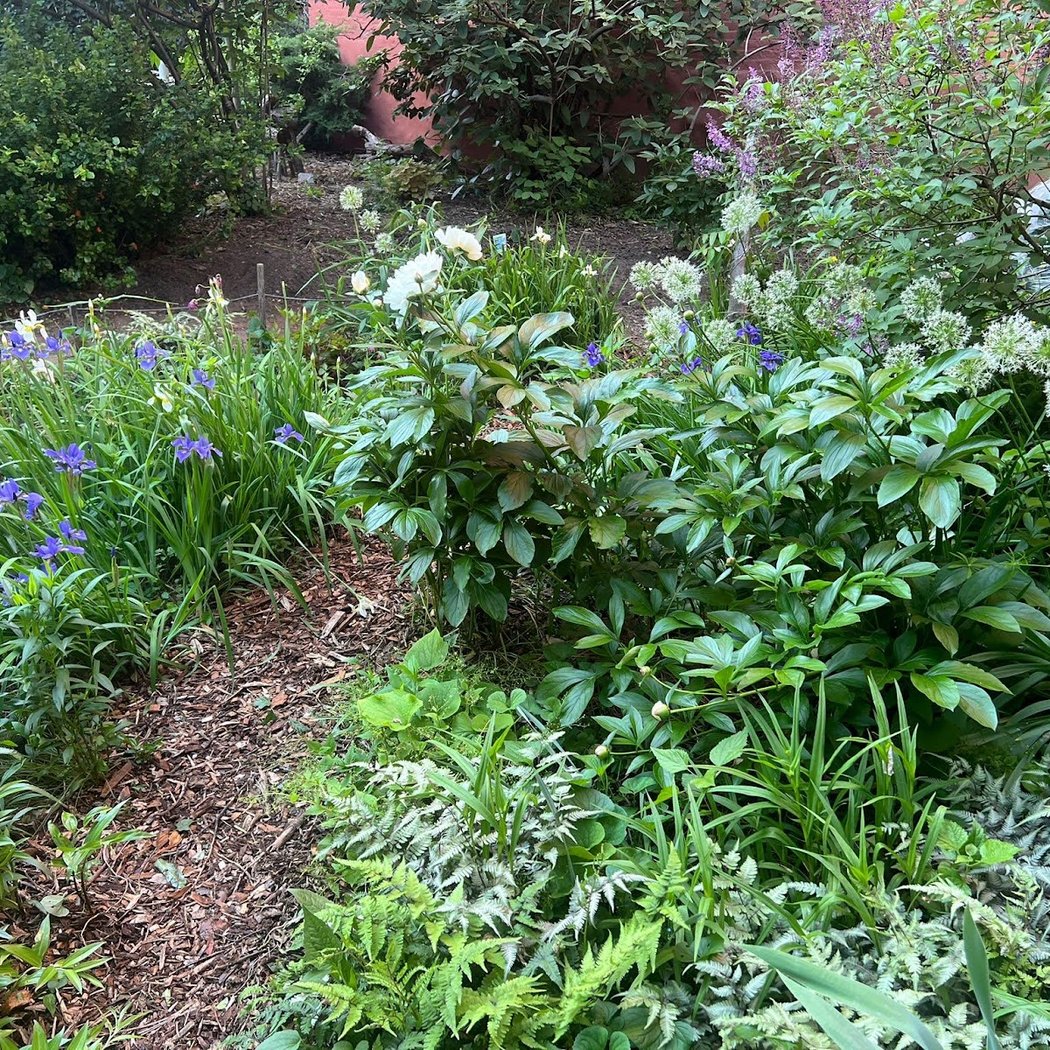 Winter Garden Project 1
