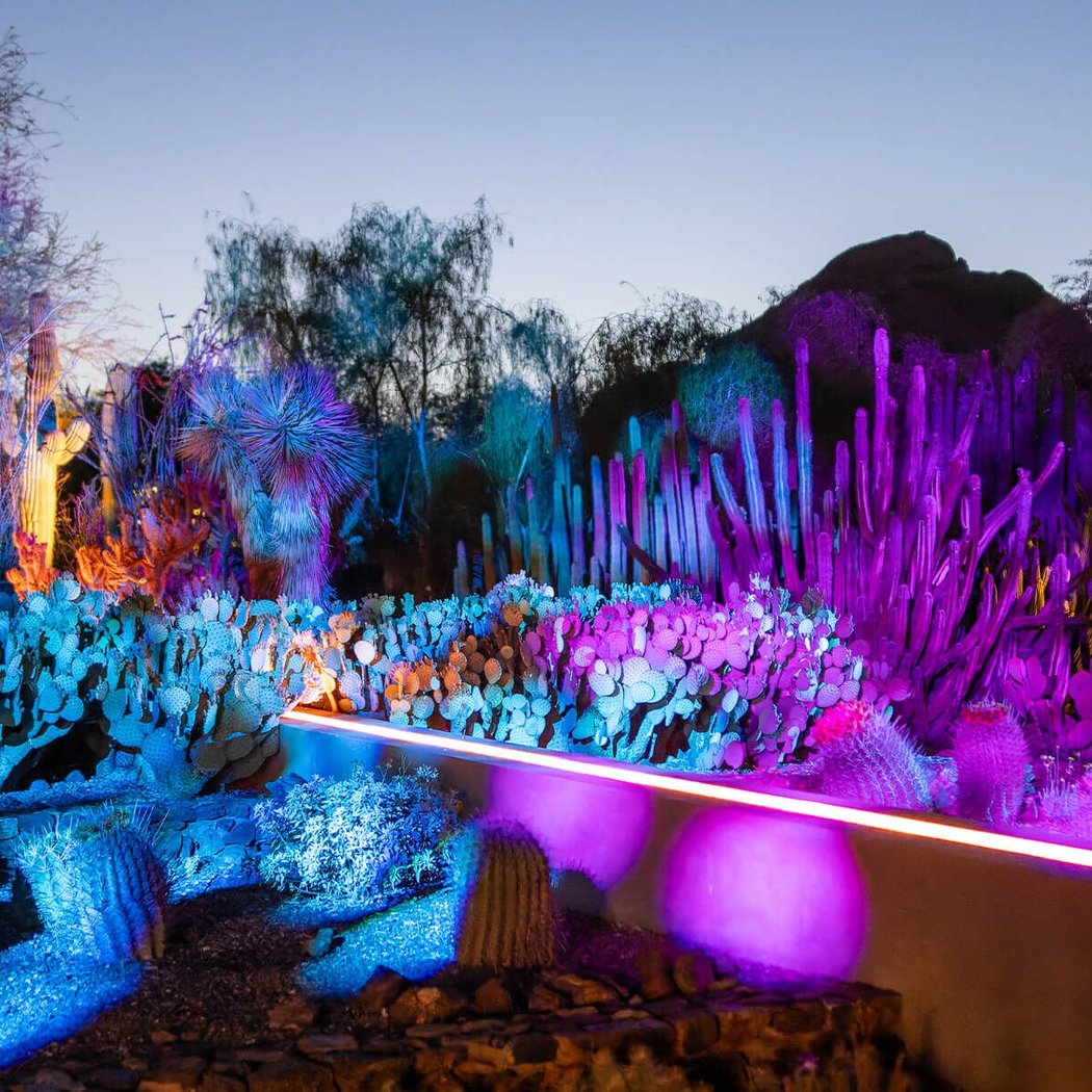 Desert Botanical Garden 4