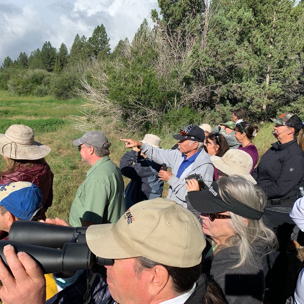 July Wild Bird Walk 3