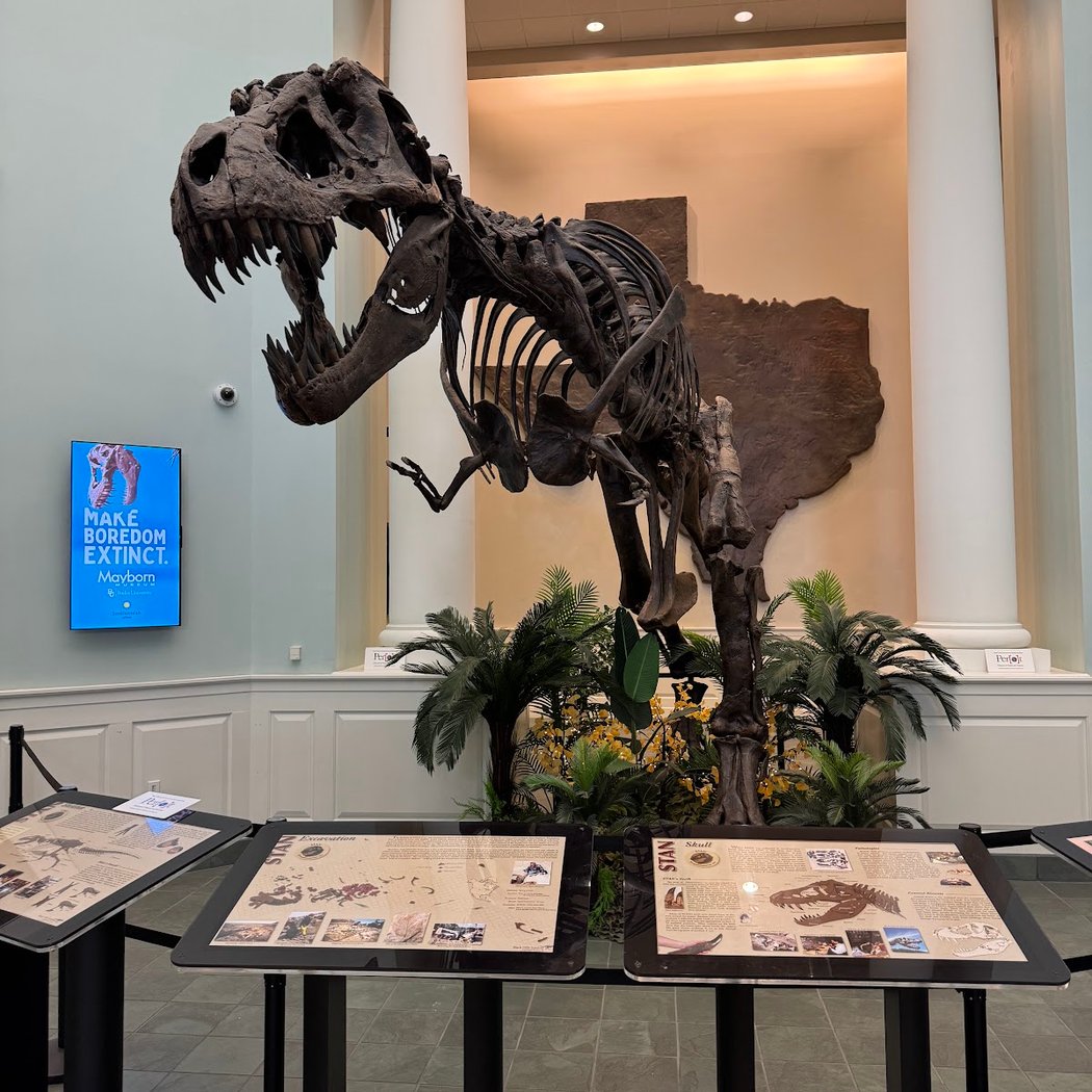 Mayborn Museum Complex 1
