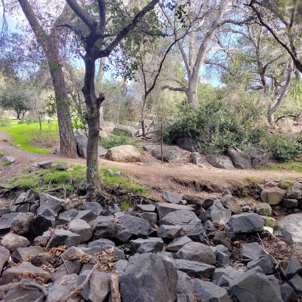 Felicita County Park 2