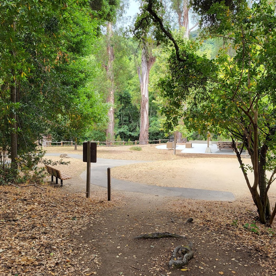 Sycamore Group Picnic Area 3