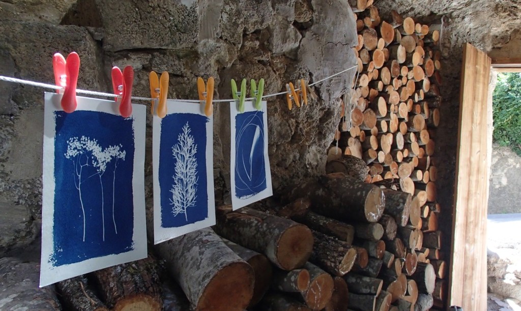 À la découverte du Cyanotype 2