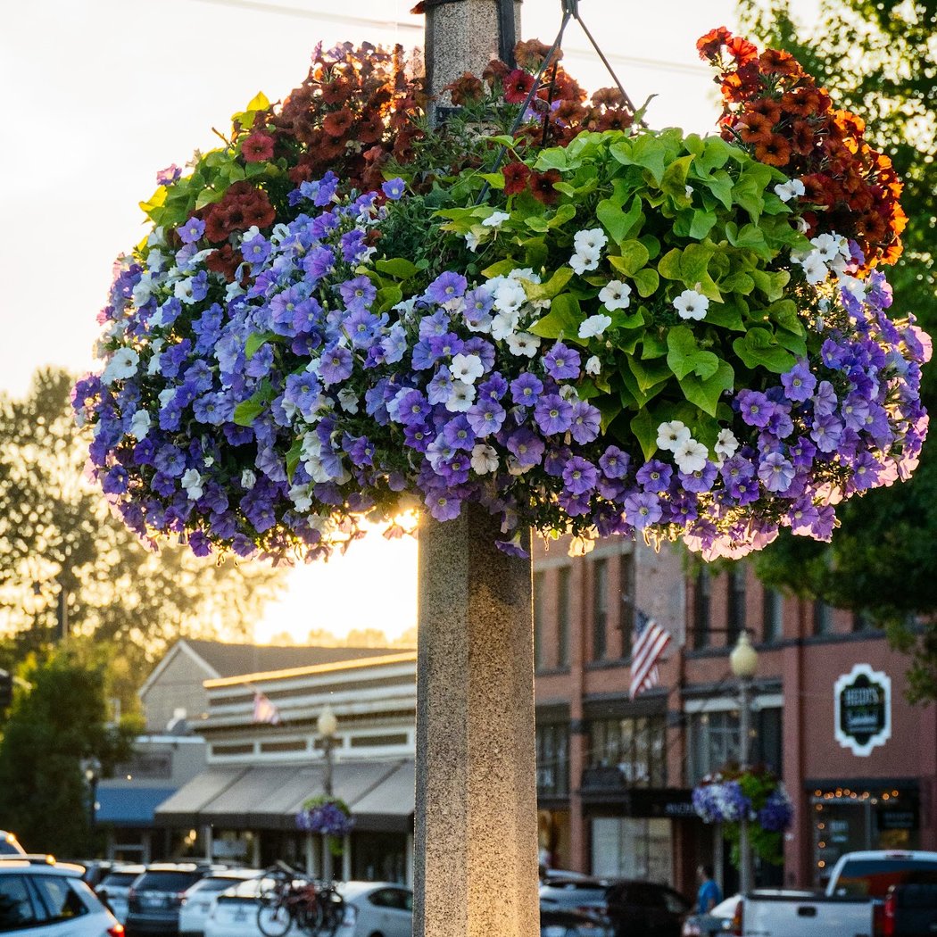 Historic Downtown Snohomish 3