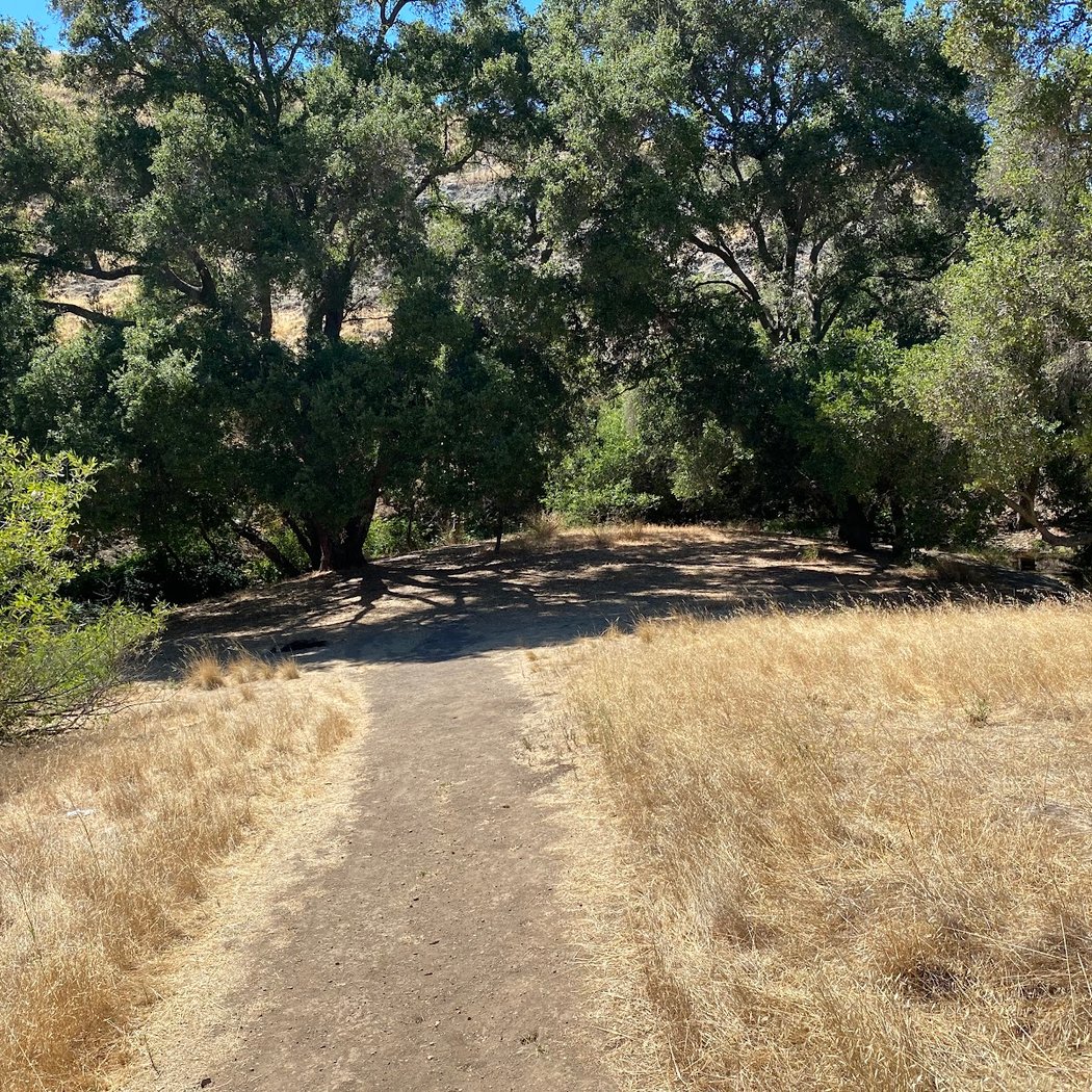 Silver Creek Meadows Picnic Area 1