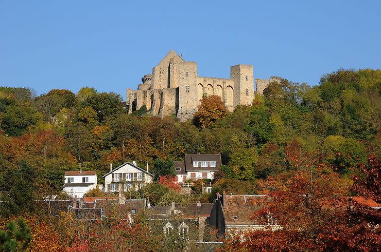 Château de la Madeleine 3