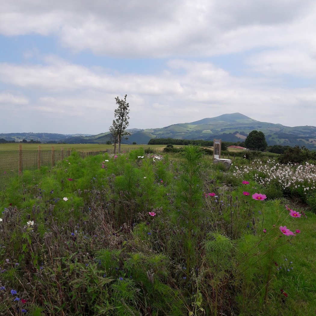 Mont Urzumu 3