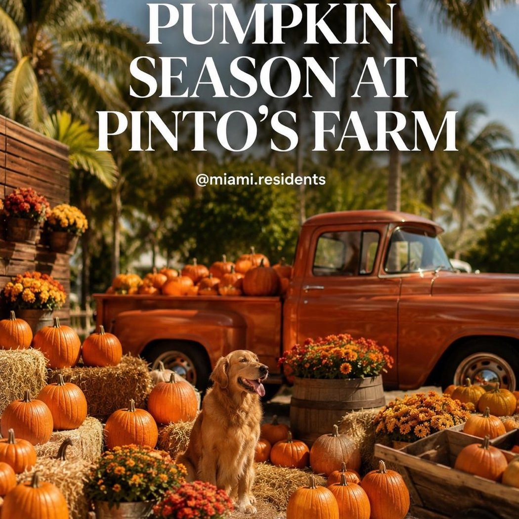 Pinto Pinto's Farm