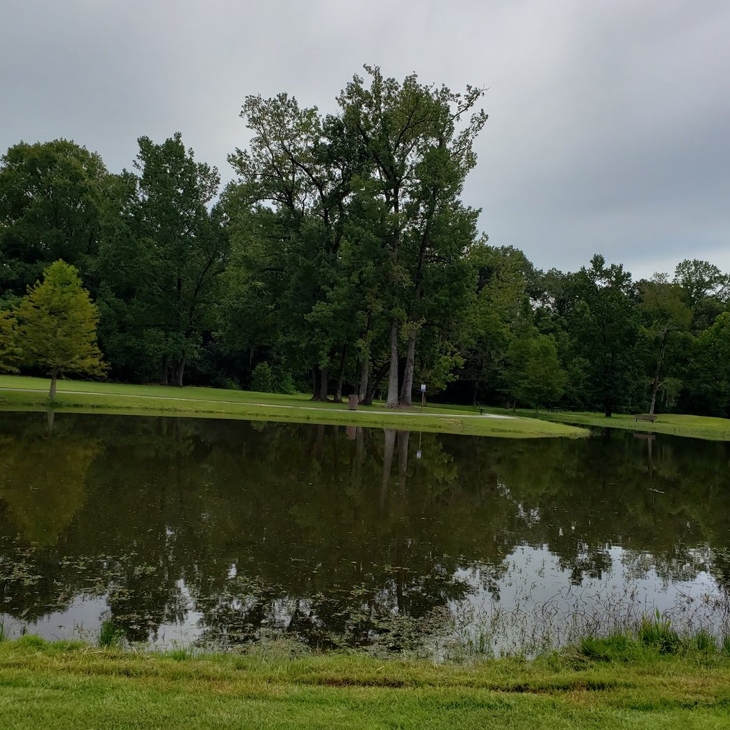 Forest Community Park 2