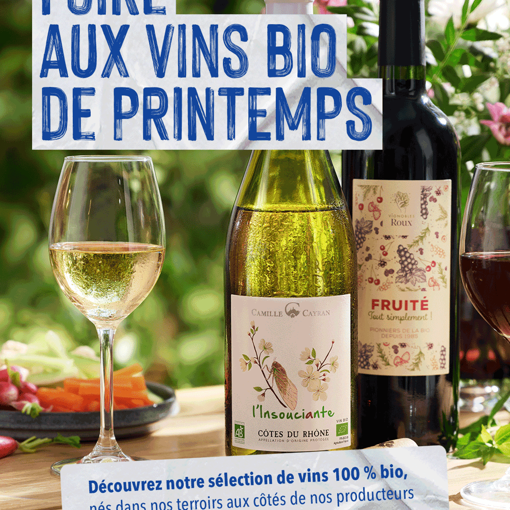 Foire aux vins bio 1
