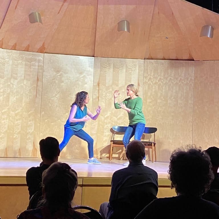 A Show! — ZipLine Improv 1