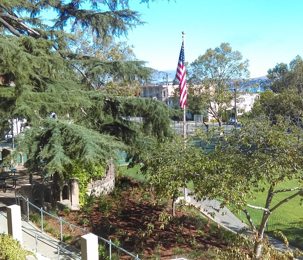 Sausalito City Hall 3