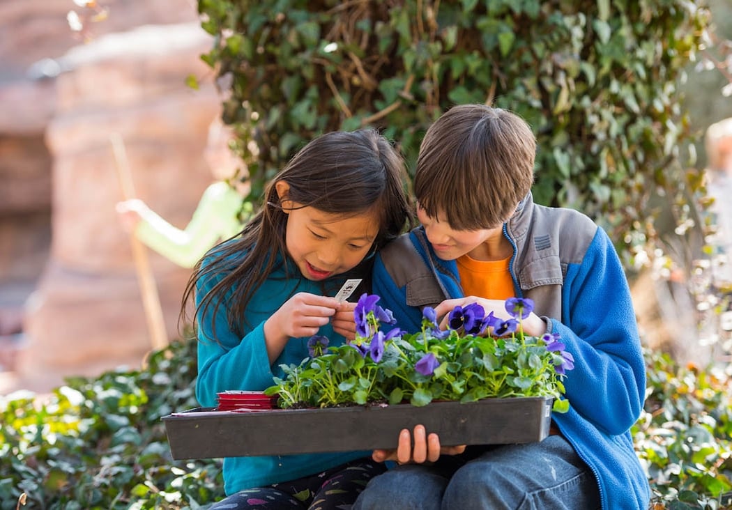 Garden Camp Week 4: Enchanted Ecology 2
