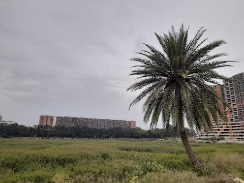 Hoodi Lake 3