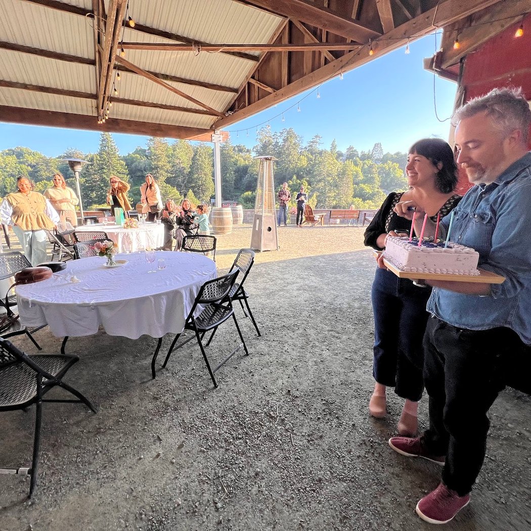 Perfusion Vineyard 2