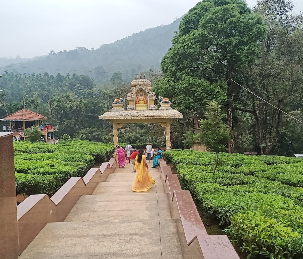 Tea Estate, Samse 3