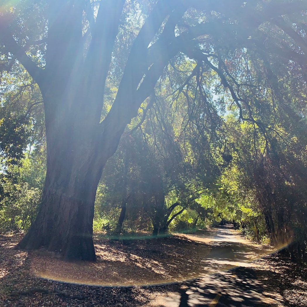 Coyote Creek Trail, San Jose, CA 2