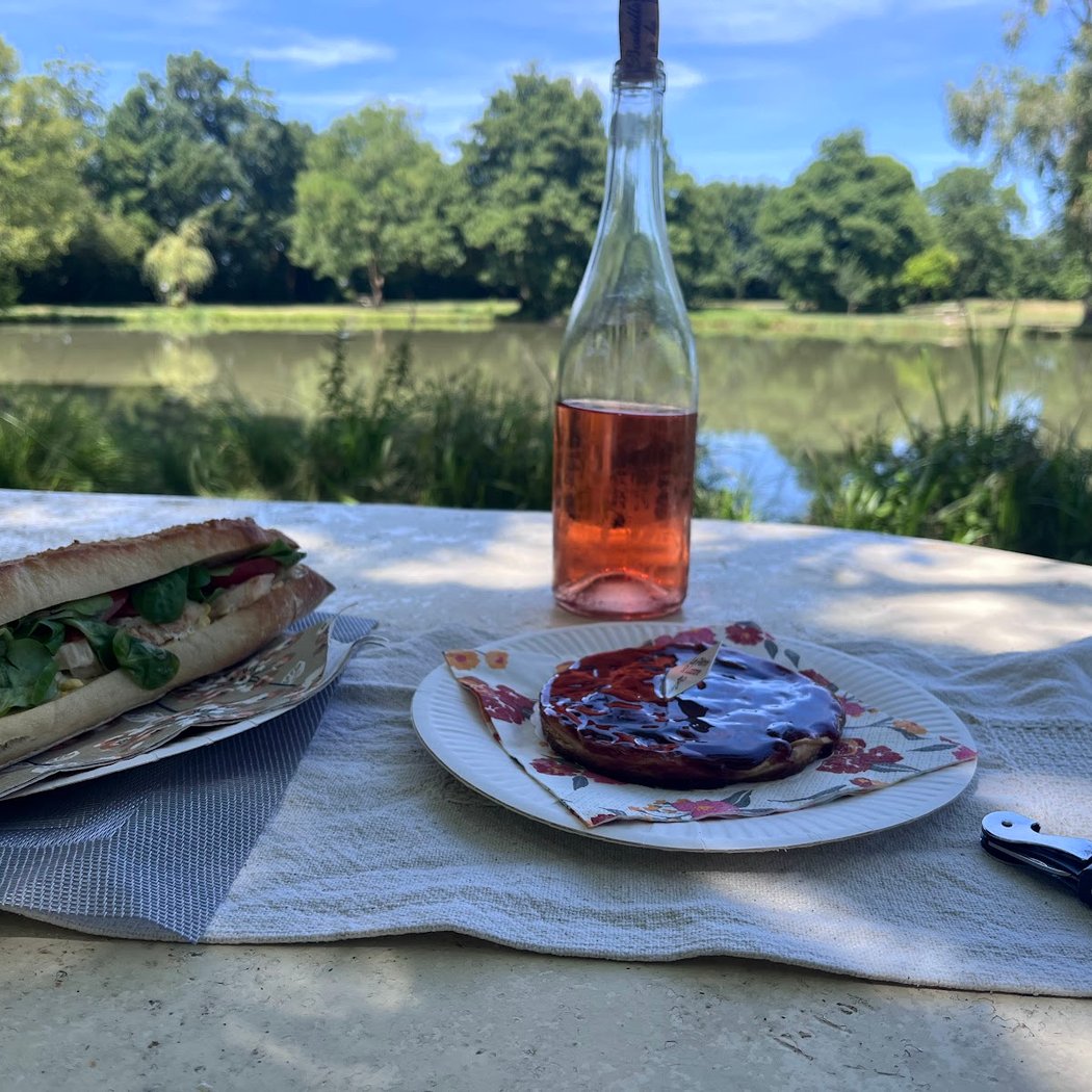 Vineyard et Vélo 1