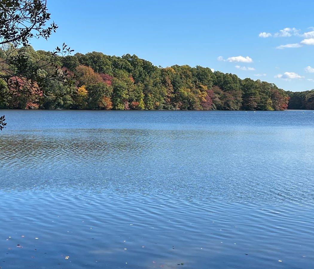 Blydenburgh County Park 1