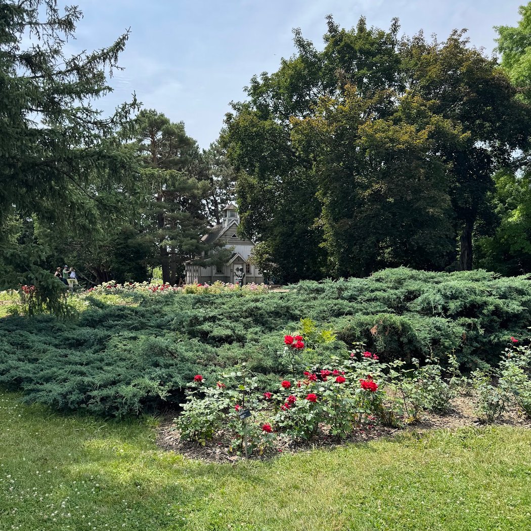 Rose Garden 2