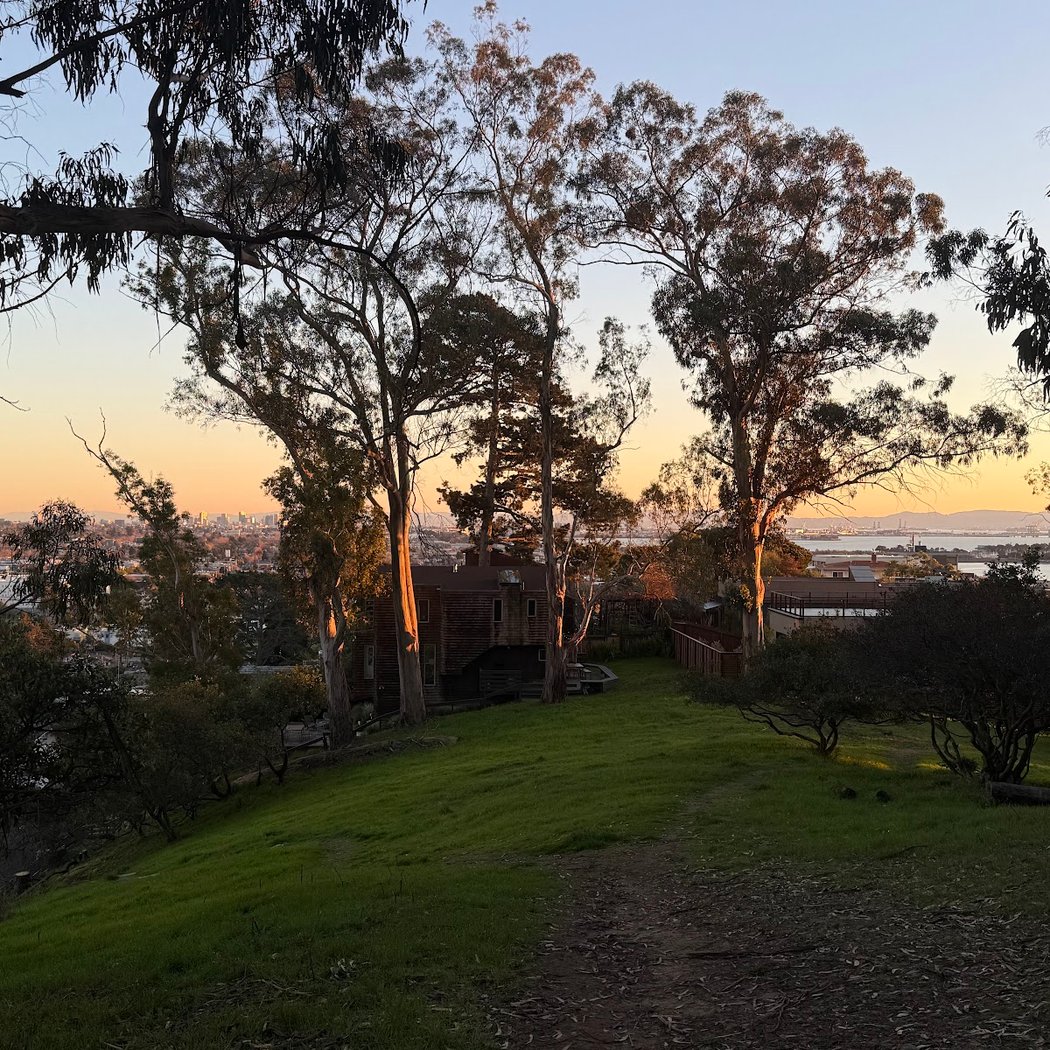 Albany Hill Park 3