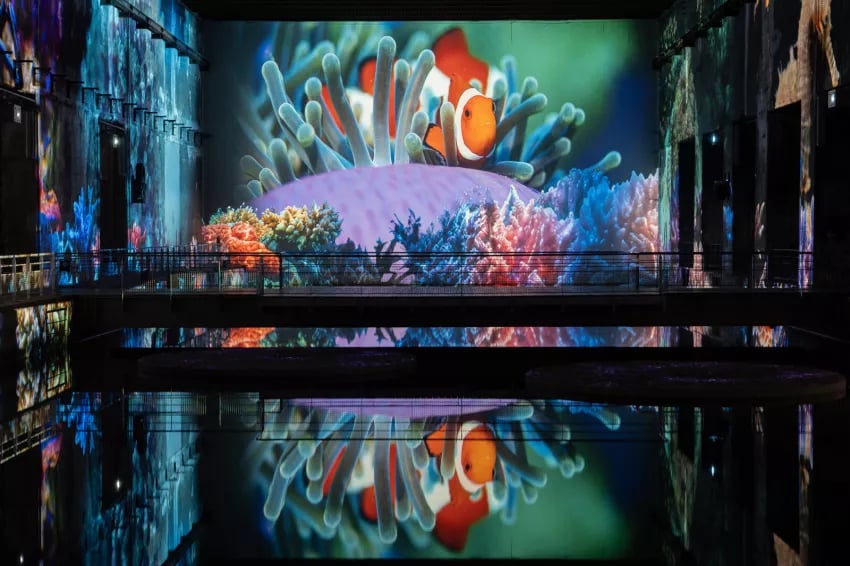 Ocean: An Immersion into the Underwater World 2